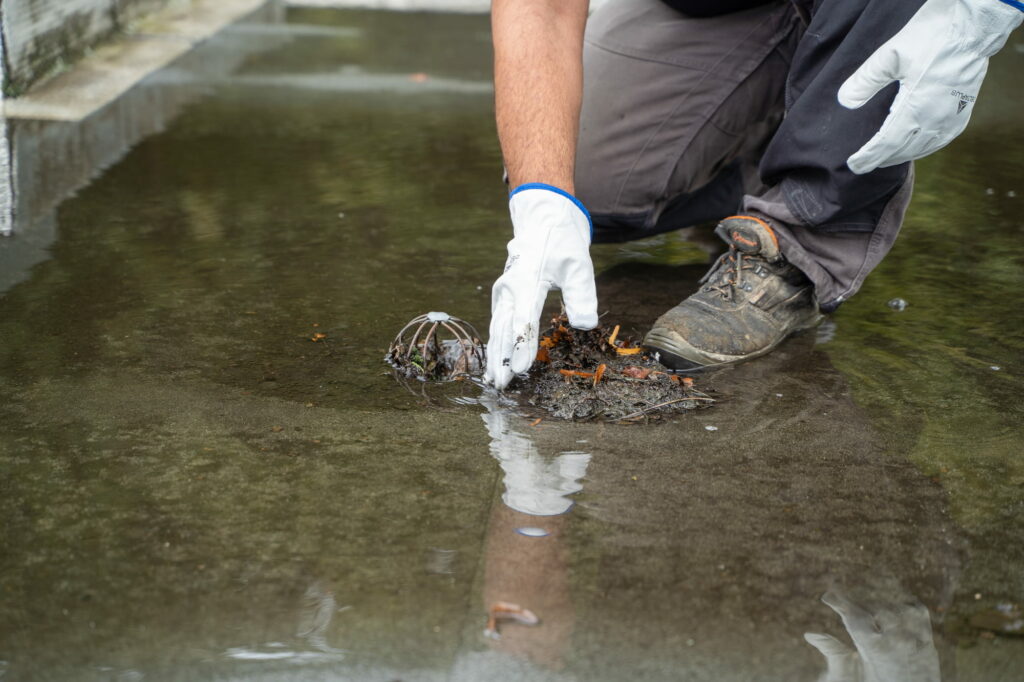 nettoyage évacuation